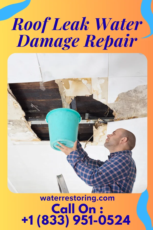 Roof Leak Water Damage Repair in Pharr, TX