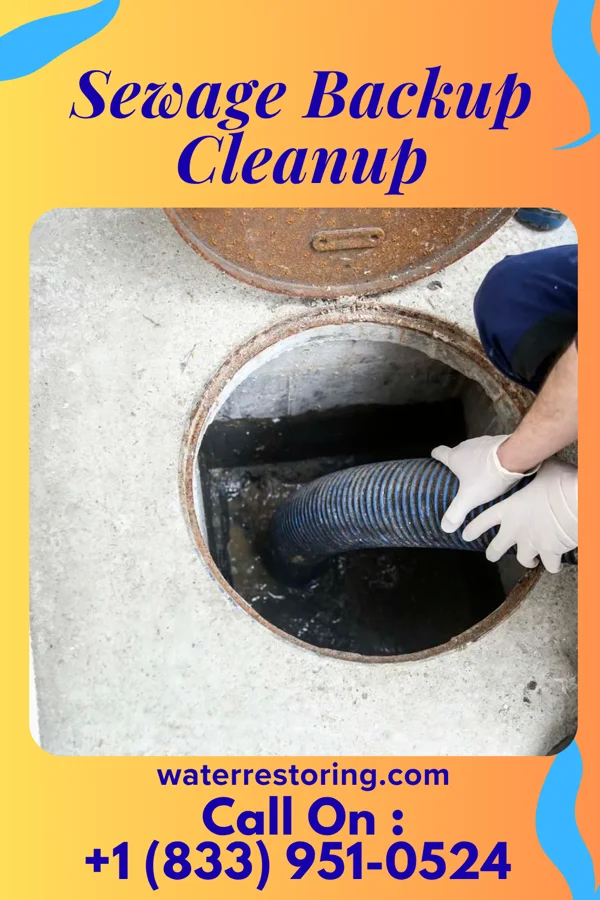 Sewage Backup Cleanup in Pharr, TX