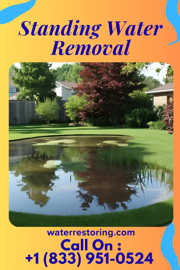 Standing Water Removal in Pharr, TX